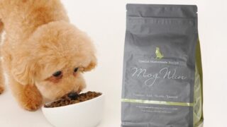 安心の無添加、「モグワン」で愛犬の健康をサポート！自然素材のグレインフリーで消化にも優しい