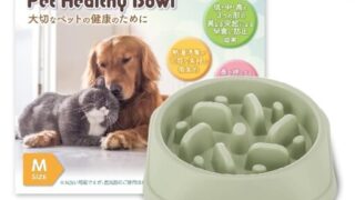 早食い防止食器で、愛犬の消化不良にサヨナラ！獣医師もおすすめする安心ボウル