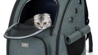 愛犬とのお出かけがリラックスできる快適空間！「Tresbro ペットキャリーリュック」で安心・安全な移動を
