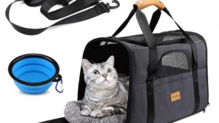 もう移動に困らない！折りたたみできる「Morpilot 4way ペットキャリーバッグ 」で、ペットとの旅行や通院が楽々快適