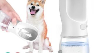 お散歩をもっと快適に！「DKPlus ペット用携帯給水ボトル」で愛犬の水分補給もスマートに解決