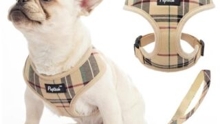 「PUPTECK 犬用ハーネス」で犬の散歩が変わる！「首に優しい」×「引っ張り防止」×「優れた通気性」の犬用ハーネスで毎日をもっと快適に