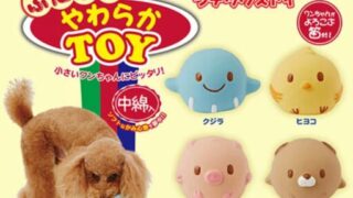 もう飽きさせない！ぷにぷに触感で夢中にさせる、「ペティオ (Petio)」の犬用おもちゃで、ストレス解消×安全で清潔×遊びを楽しく
