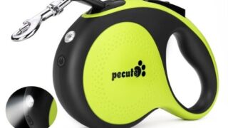 夜も昼もお散歩が安心！「Pecute 伸縮リード LEDライト付き」で快適お散歩、もう手放せない