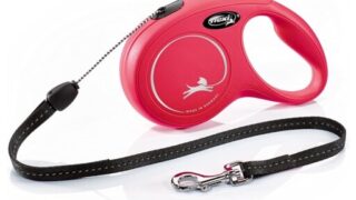 自由と安心感を両立！「フレキシ(flexi) リード」で愛犬との散歩がもっと快適に