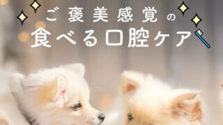 完全無添加・国産デンタルスティック!